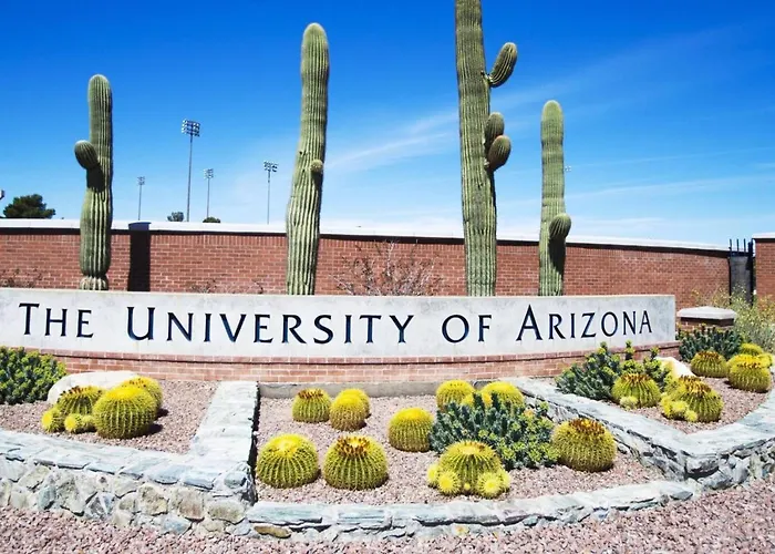 Сasa de vacaciones Casita, 1 Bedroom 1 Ba, Near U Of A, Fully Fenced Tucson